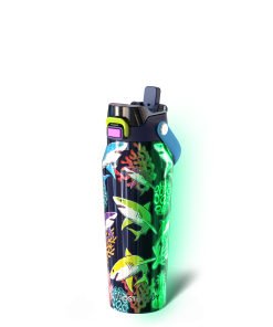 Bottle Buddy 24oz | Neon Coast