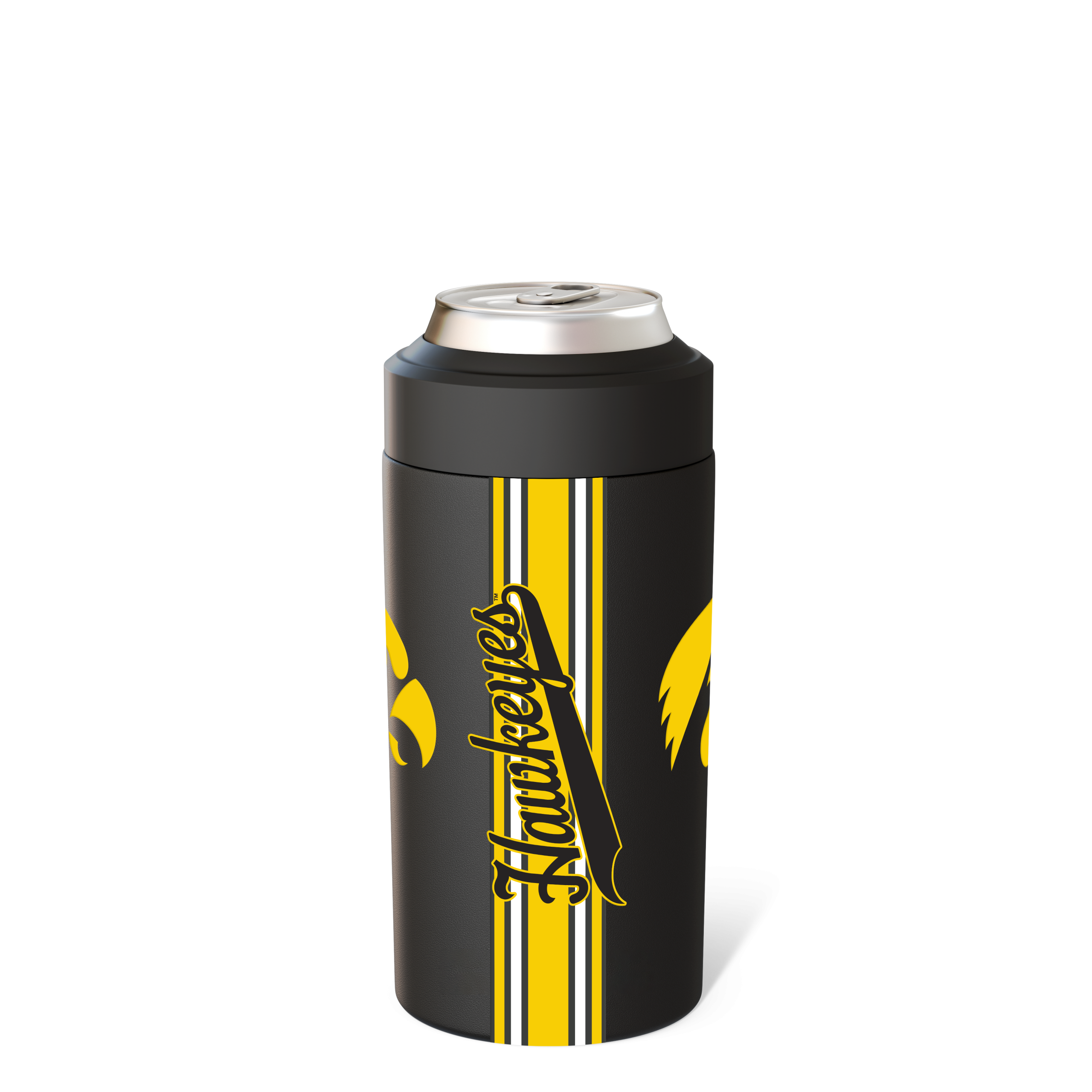 Iowa_2f31e60f-c7ac-4724-9156-5cb2d3bbe503.png